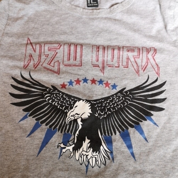 F21 Grey Cropped Eagle Graphic Short Sleeve Shirt Medium - Picture 4 of 4